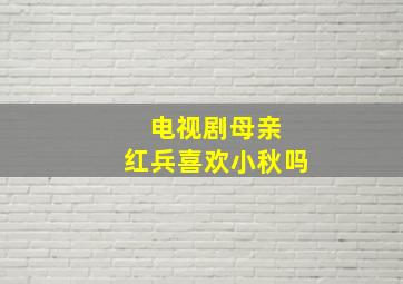 电视剧母亲 红兵喜欢小秋吗